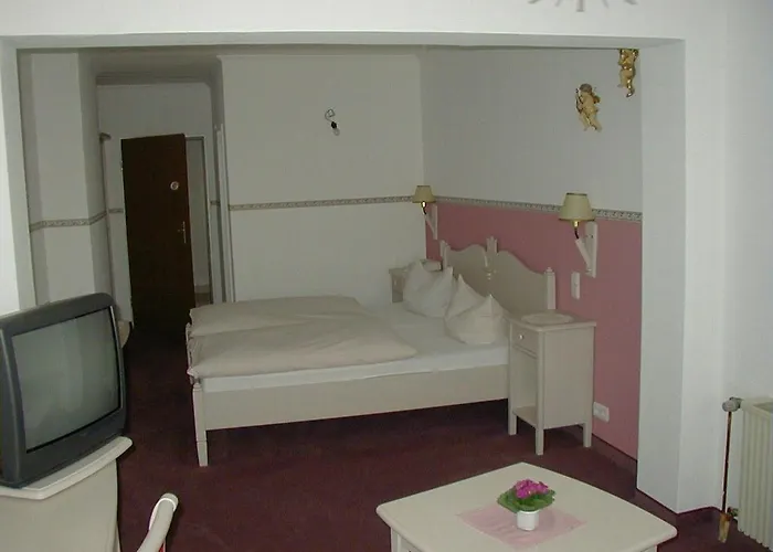 Hotel Schlossgarten 3*